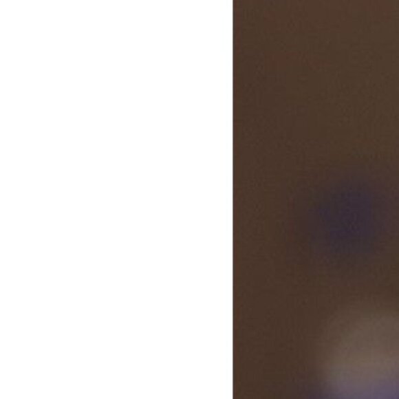 Ty Beanie Classic Dachshund “Frank” 2014 Wiener Plush Dog Used - Picture 1 of 8